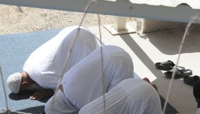 Guantanamo-Wiki