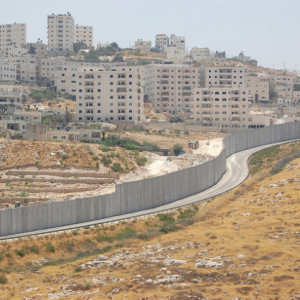 Israel-palestine-settlement-wall